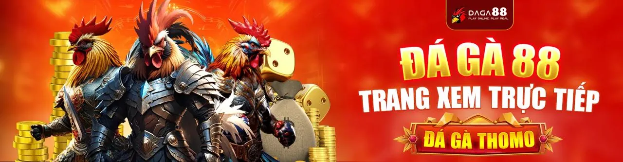 Sân đá gà trực tuyến AU8809 với những trận đấu kịch tính